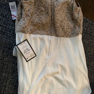 Women’s Dresses, Plus Size